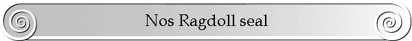 Nos Ragdolls seal