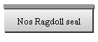 Nos Ragdolls seal